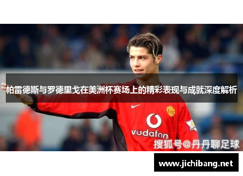 帕雷德斯与罗德里戈在美洲杯赛场上的精彩表现与成就深度解析