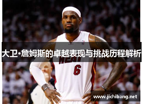 大卫·詹姆斯的卓越表现与挑战历程解析